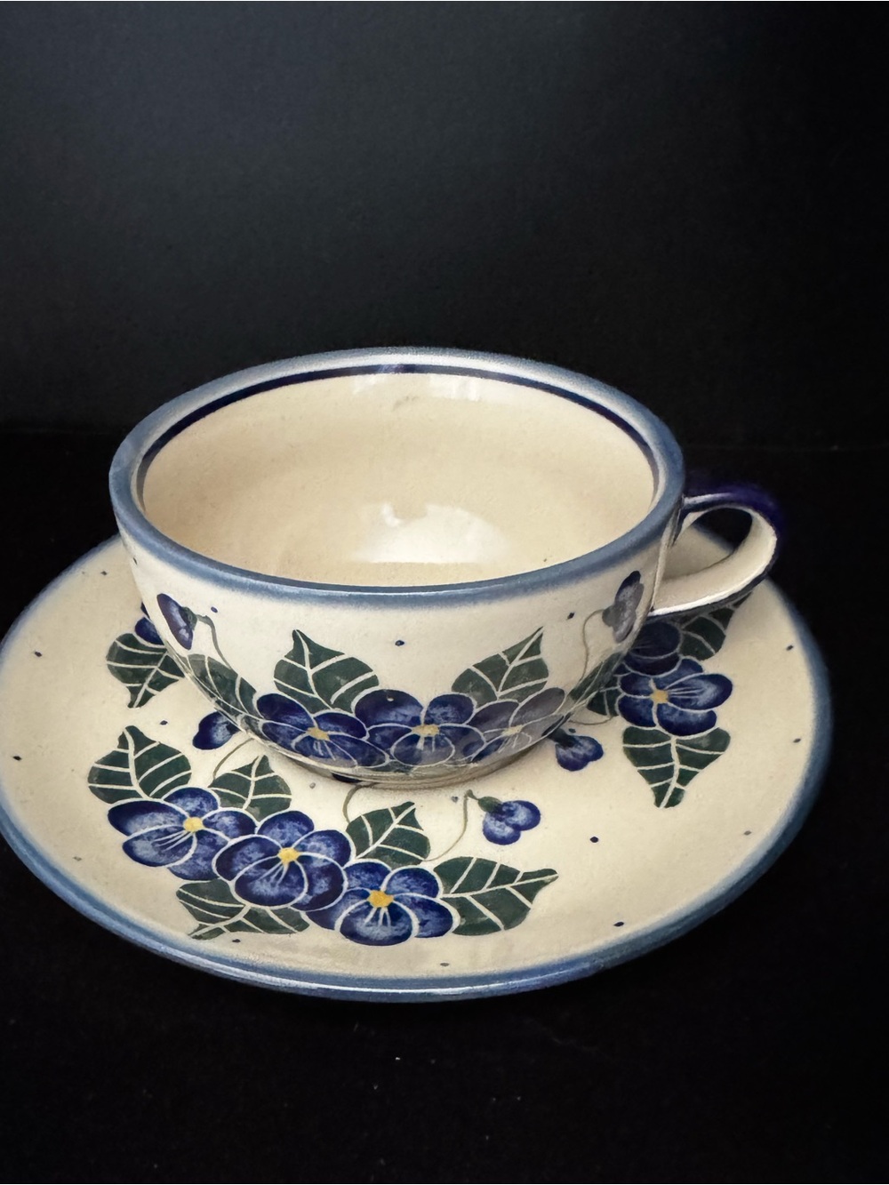 Polish Pottery Cup and Saucer Set Floral Blue And Cream